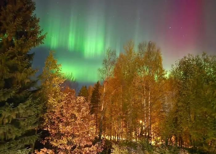 Santa's Choice For Aurora Hunters , Sauna And Jacuzzi Σπίτι διακοπών Ροβανιέμι